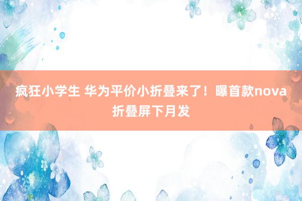 疯狂小学生 华为平价小折叠来了！曝首款nova折叠屏下月发