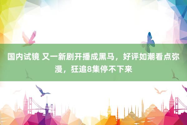 国内试镜 又一新剧开播成黑马，好评如潮看点弥漫，狂追8集停不下来