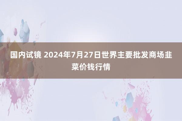 国内试镜 2024年7月27日世界主要批发商场韭菜价钱行情