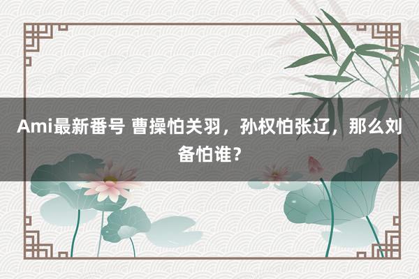 Ami最新番号 曹操怕关羽，孙权怕张辽，那么刘备怕谁？