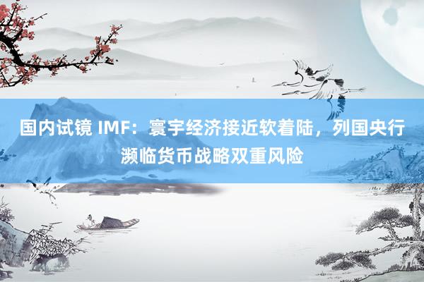 国内试镜 IMF：寰宇经济接近软着陆，列国央行濒临货币战略双重风险