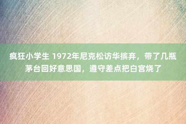 疯狂小学生 1972年尼克松访华摈弃，带了几瓶茅台回好意思国，遵守差点把白宫烧了