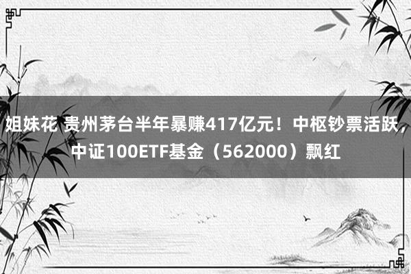 姐妹花 贵州茅台半年暴赚417亿元！中枢钞票活跃，中证100ETF基金（562000）飘红