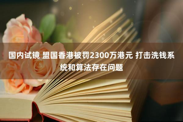 国内试镜 盟国香港被罚2300万港元 打击洗钱系统和算法存在问题