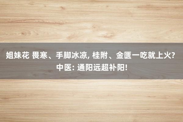 姐妹花 畏寒、手脚冰凉， 桂附、金匮一吃就上火? 中医: 通阳远超补阳!