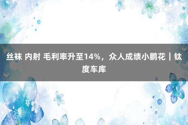 丝袜 内射 毛利率升至14%，众人成绩小鹏花｜钛度车库