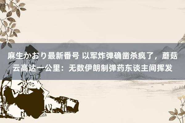 麻生かおり最新番号 以军炸弹确凿杀疯了，蘑菇云高达一公里：无数伊朗制弹药东谈主间挥发