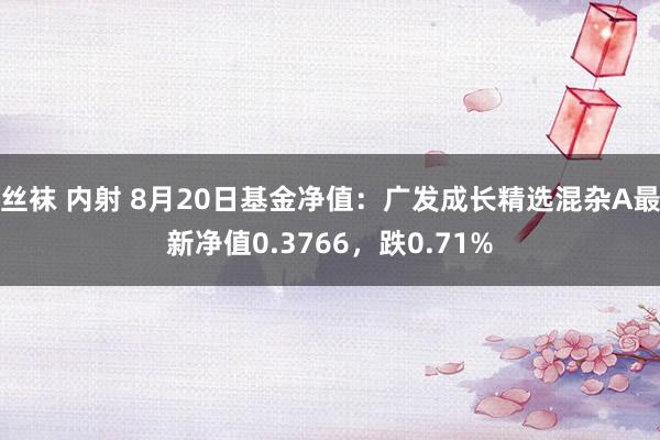 丝袜 内射 8月20日基金净值：广发成长精选混杂A最新净值0.3766，跌0.71%