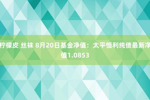 柠檬皮 丝袜 8月20日基金净值：太平恒利纯债最新净值1.0853