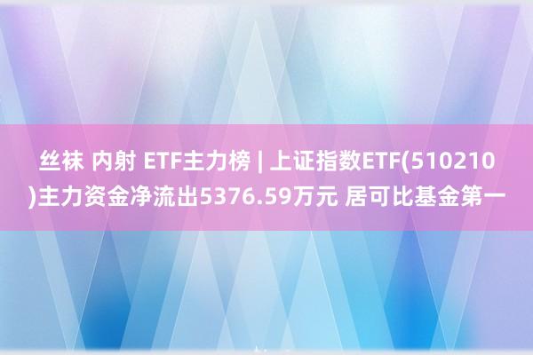 丝袜 内射 ETF主力榜 | 上证指数ETF(510210)主力资金净流出5376.59万元 居可比基金第一