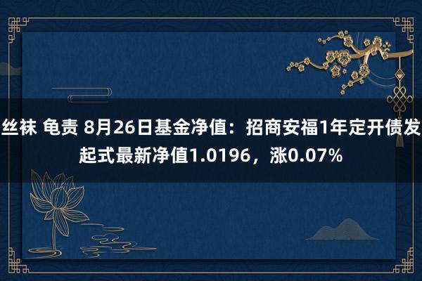 丝袜 龟责 8月26日基金净值：招商安福1年定开债发起式最新净值1.0196，涨0.07%