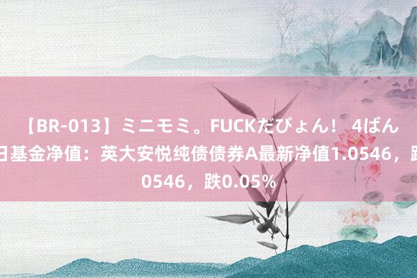 【BR-013】ミニモミ。FUCKだぴょん！ 4ばん 8月26日基金净值：英大安悦纯债债券A最新净值1.0546，跌0.05%