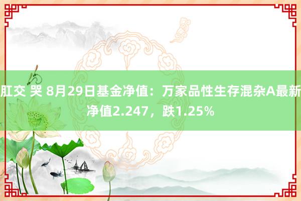 肛交 哭 8月29日基金净值：万家品性生存混杂A最新净值2.247，跌1.25%