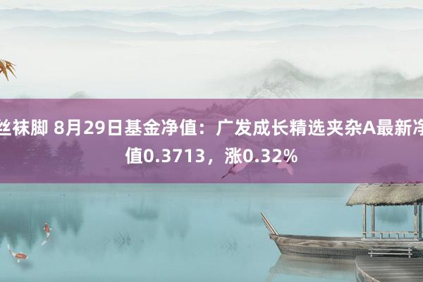 丝袜脚 8月29日基金净值：广发成长精选夹杂A最新净值0.3713，涨0.32%