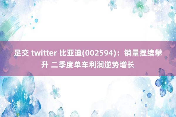 足交 twitter 比亚迪(002594)：销量捏续攀升 二季度单车利润逆势增长