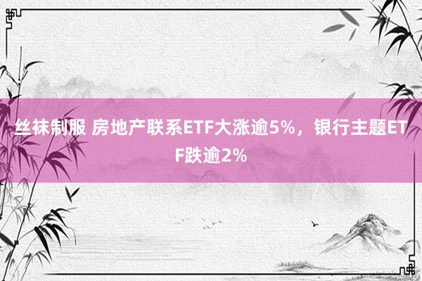 丝袜制服 房地产联系ETF大涨逾5%，银行主题ETF跌逾2%