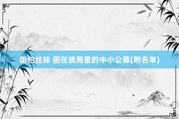 街拍丝袜 困在债局里的中小公募(附名单)