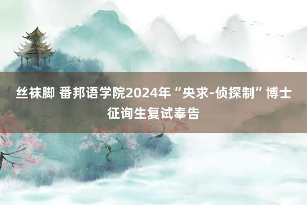 丝袜脚 番邦语学院2024年“央求-侦探制”博士征询生复试奉告