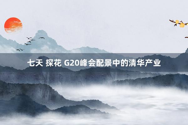 七天 探花 G20峰会配景中的清华产业