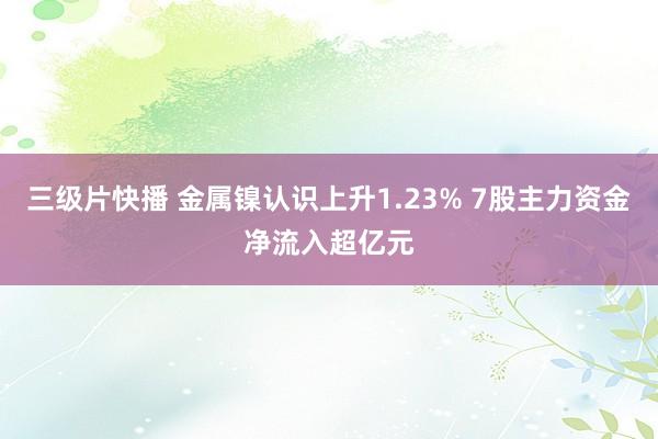 三级片快播 金属镍认识上升1.23% 7股主力资金净流入超亿元