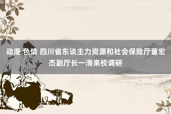 动漫 色情 四川省东谈主力资源和社会保险厅董宏杰副厅长一滑来校调研