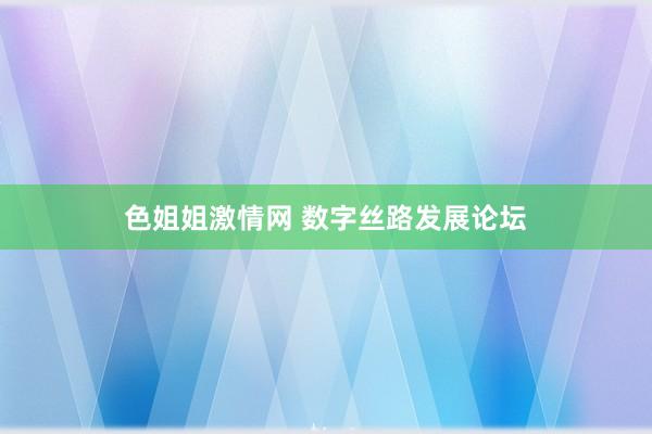 色姐姐激情网 数字丝路发展论坛